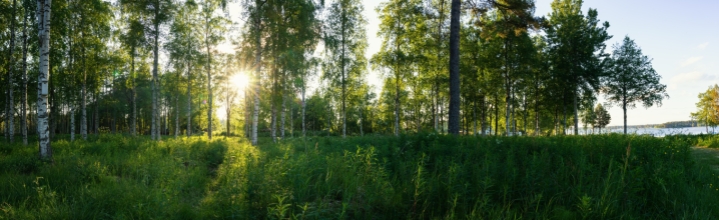 Kvalitet & miljö